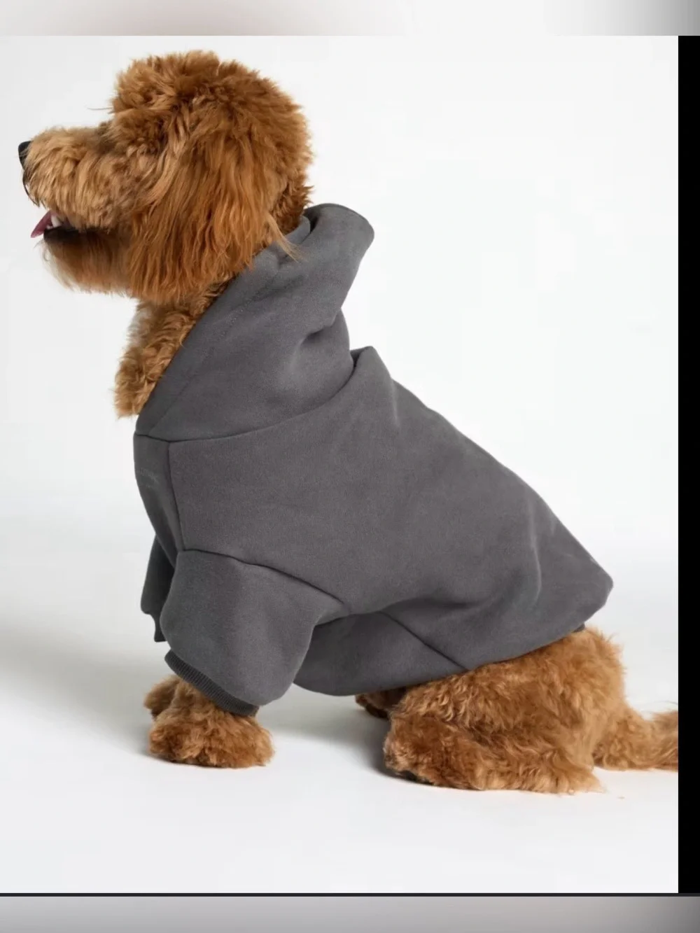 NWOT 2XL Gray Pet Hoodie for Dogs - Cozy Fleece Dog Sweatshirt